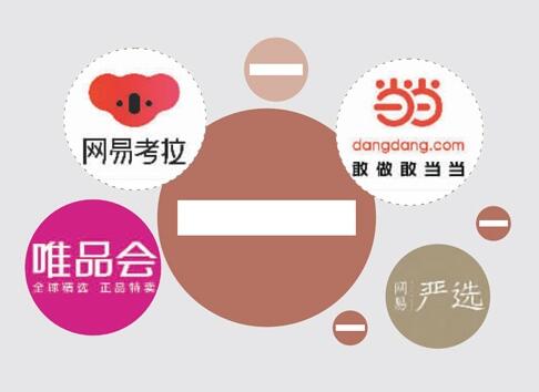 垂直型電商網(wǎng)站有哪些？